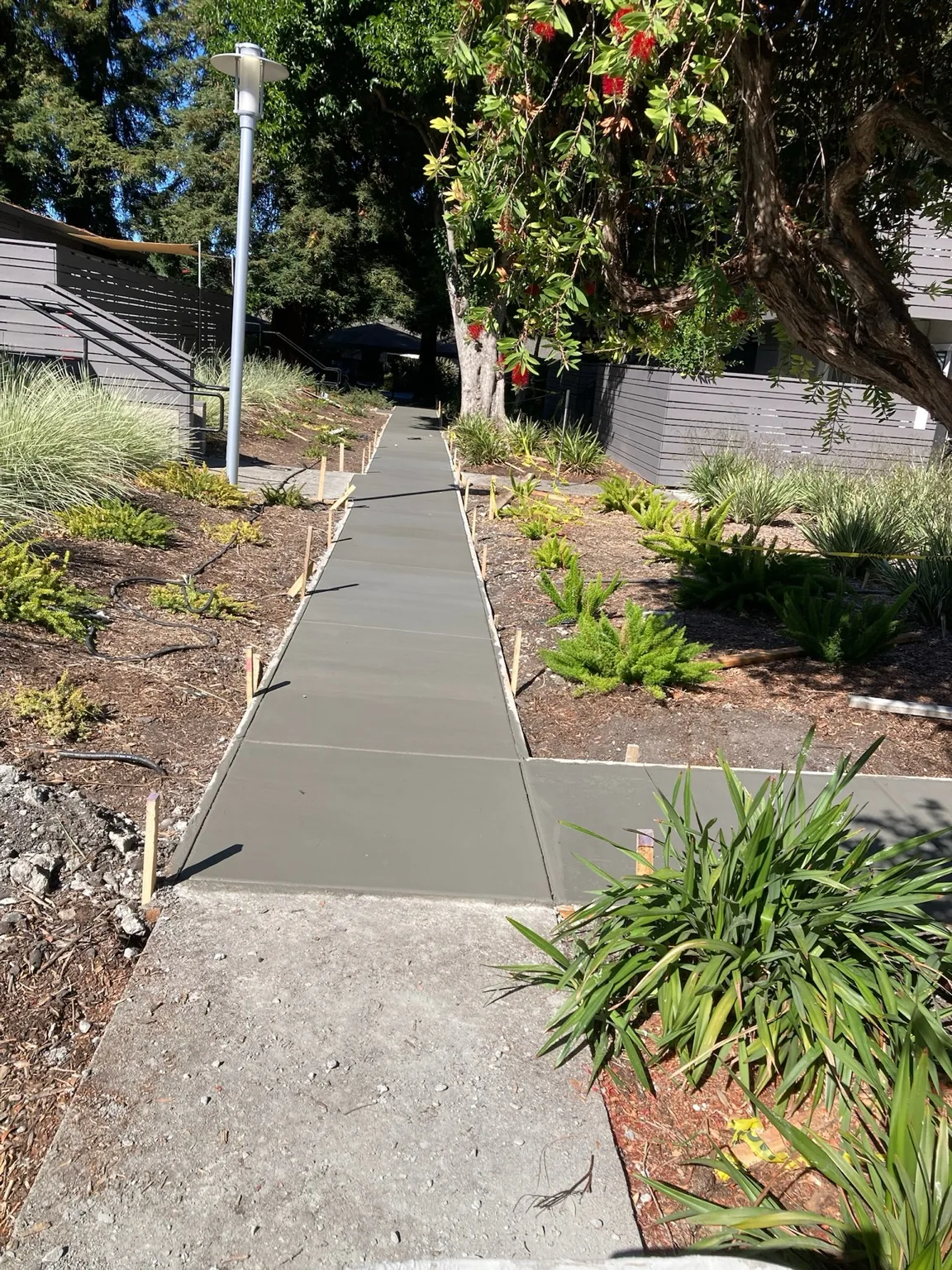 Fresh concrete walkway through landscaped grounds